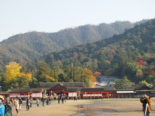 a0185007_135602.jpg