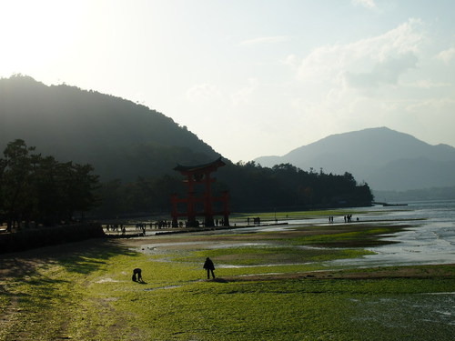 a0185007_14123029.jpg