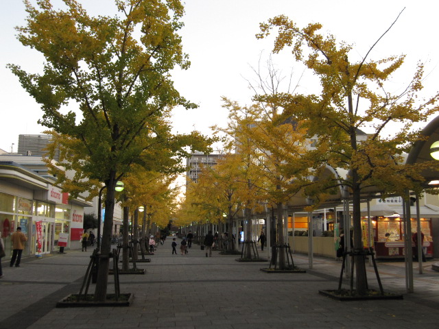 c0230109_20103382.jpg
