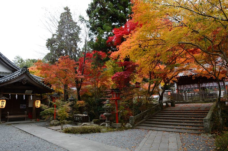 2012京都の紅葉・鍬山神社　其の二_f0032011_19422166.jpg