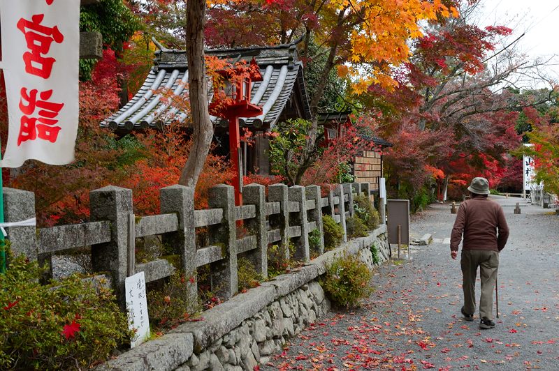 2012京都の紅葉・鍬山神社　其の二_f0032011_1943622.jpg