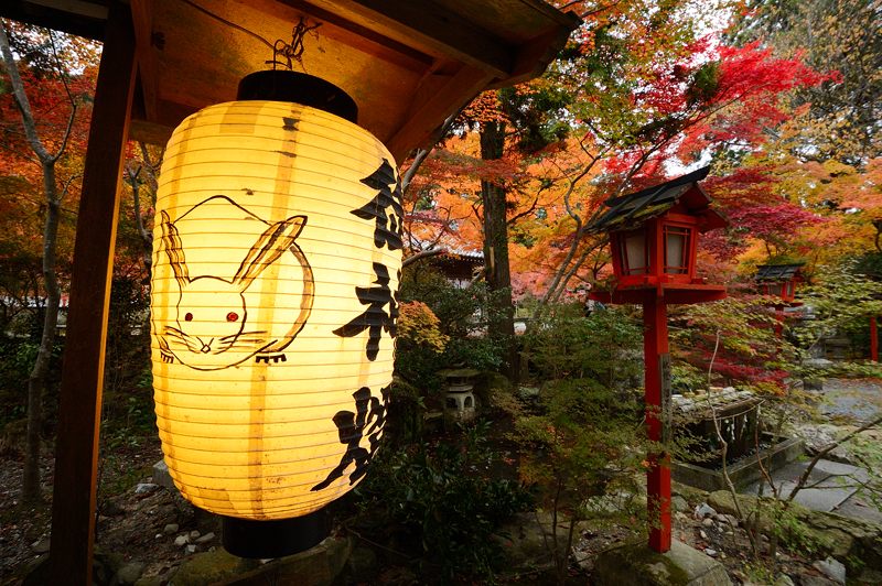 2012京都の紅葉・鍬山神社　其の二_f0032011_19444186.jpg