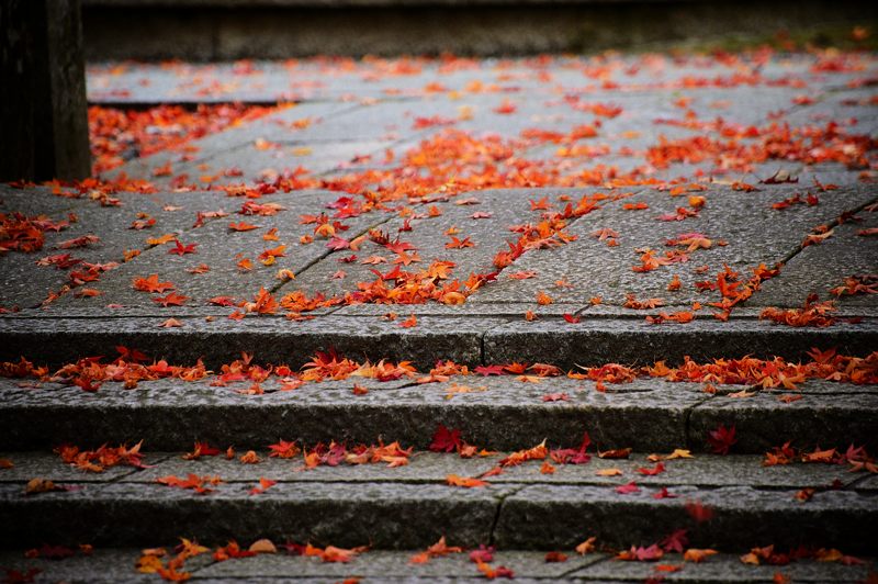 2012京都の紅葉・鍬山神社　其の二_f0032011_19462347.jpg