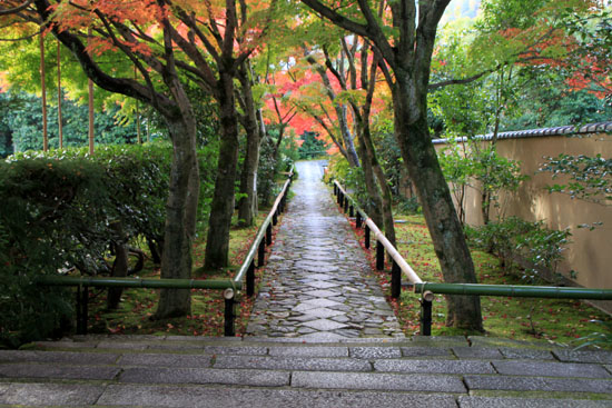 紅葉だより18 光悦寺_e0048413_2352118.jpg