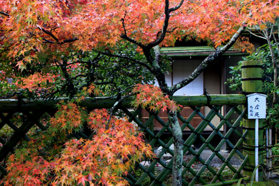紅葉だより18 光悦寺_e0048413_2353740.jpg