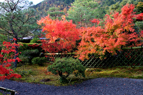 紅葉だより18 光悦寺_e0048413_2354765.jpg