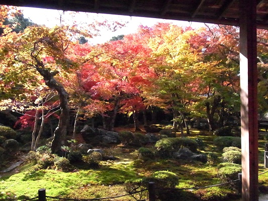 紅葉＠洛北・圓光寺（11月中旬）_c0192215_9343257.jpg