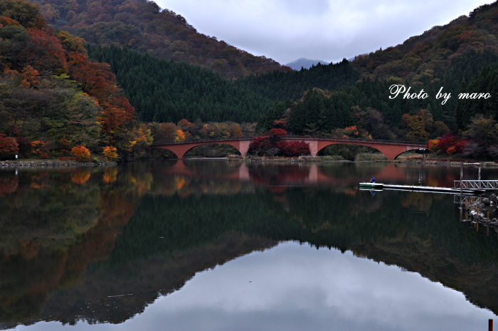 紅葉の碓氷湖♪♪_e0160417_18183719.jpg