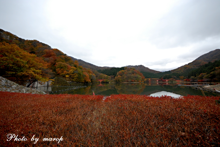 紅葉の碓氷湖♪♪_e0160417_18191410.jpg