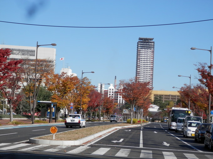 今週末の「お勧めメニュー」です☆_a0125419_1652682.jpg