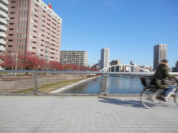 今週末の「お勧めメニュー」です☆_a0125419_1661256.jpg
