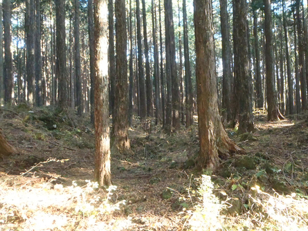 c0223419_13373696.jpg