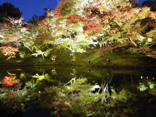 c0229219_1712775.jpg