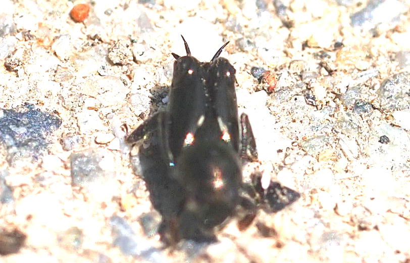 f0181821_16435276.jpg