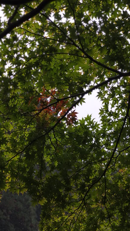 e0256122_14142130.jpg
