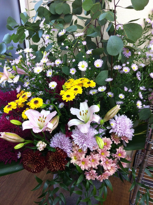 今週のお花とセール情報_a0200423_3524137.jpg