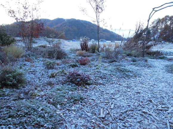 e0242423_641198.jpg