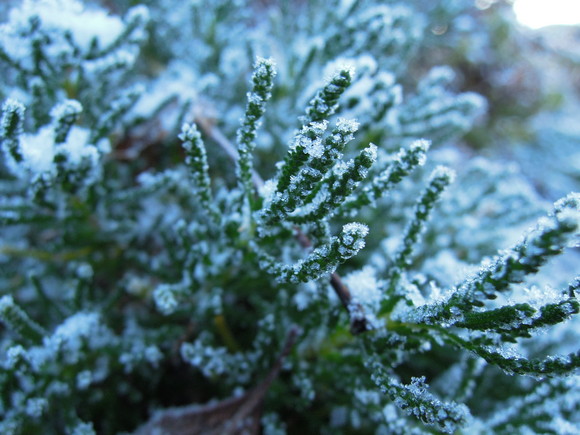 e0242423_641787.jpg