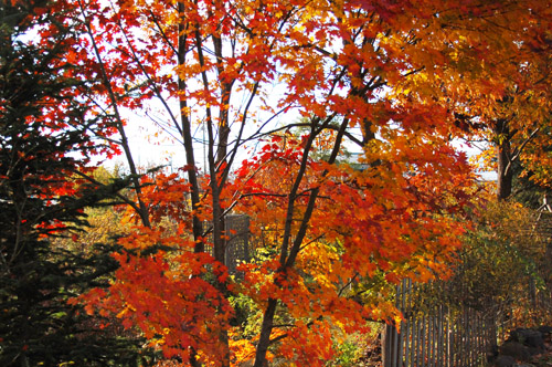 c0107129_0282475.jpg