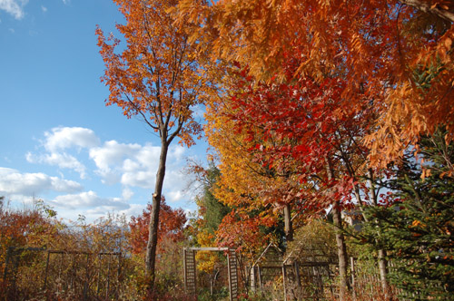 c0107129_0312164.jpg