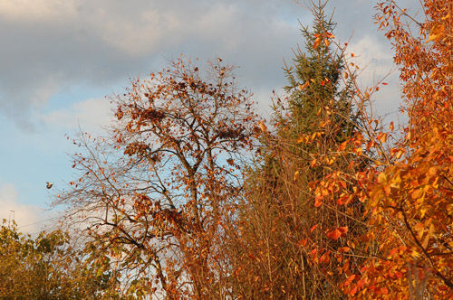 c0107129_0314342.jpg
