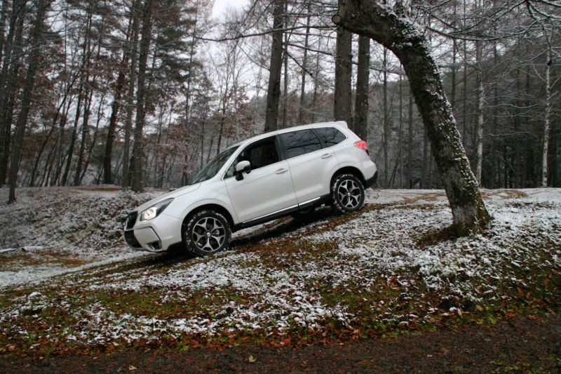 最新版：雪の開田高原！ラフロードで新型フォレスター直噴ターボをテスト_f0076731_22153222.jpg