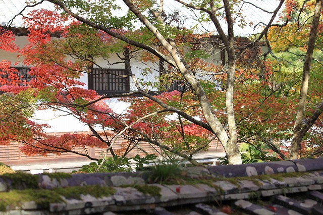 a0045932_19175752.jpg