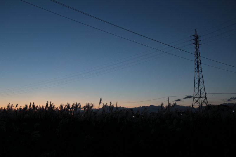 f0063532_20482637.jpg