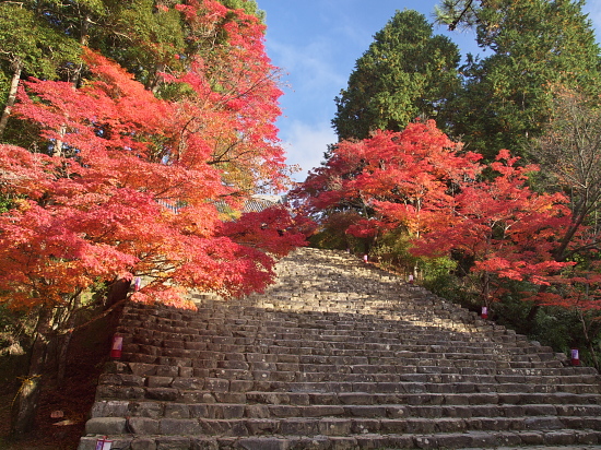 紅葉2012～神護寺～_e0080133_0531528.jpg