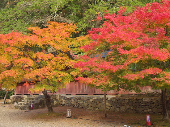 紅葉2012～神護寺～_e0080133_0531795.jpg