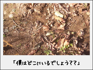 野田村　ほうれん草体験_c0259934_16194580.jpg