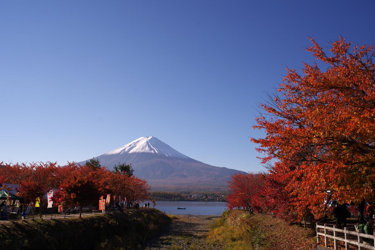 河口湖紅葉祭り_b0162135_026757.jpg