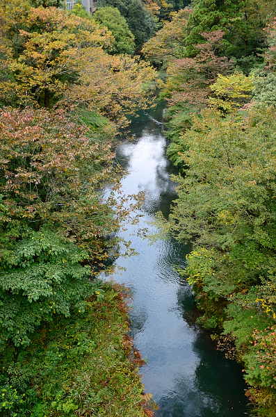 e0055138_15574.jpg