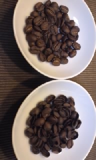 貝殻豆は教えてくれる_a0165239_12779.jpg