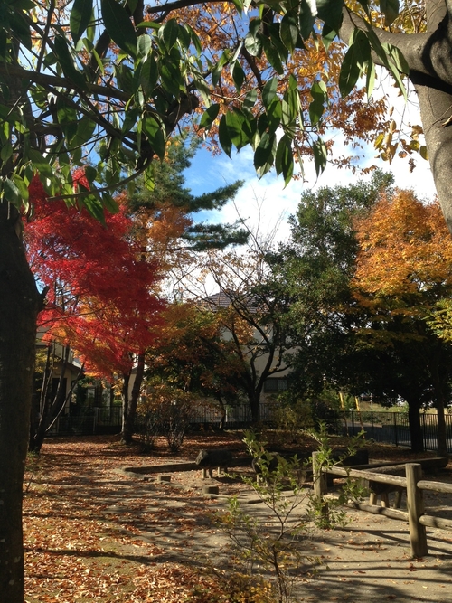 おまつり賑わいの秋〜東村山産業まつり〜_e0195939_9244380.jpg