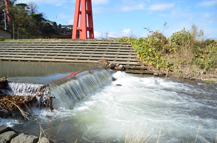 c0202242_16353281.jpg