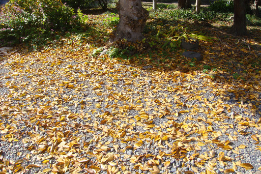 e0226943_01673.jpg