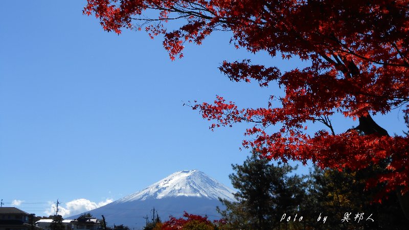 富士山・・・（１４３１）_c0122445_188661.jpg