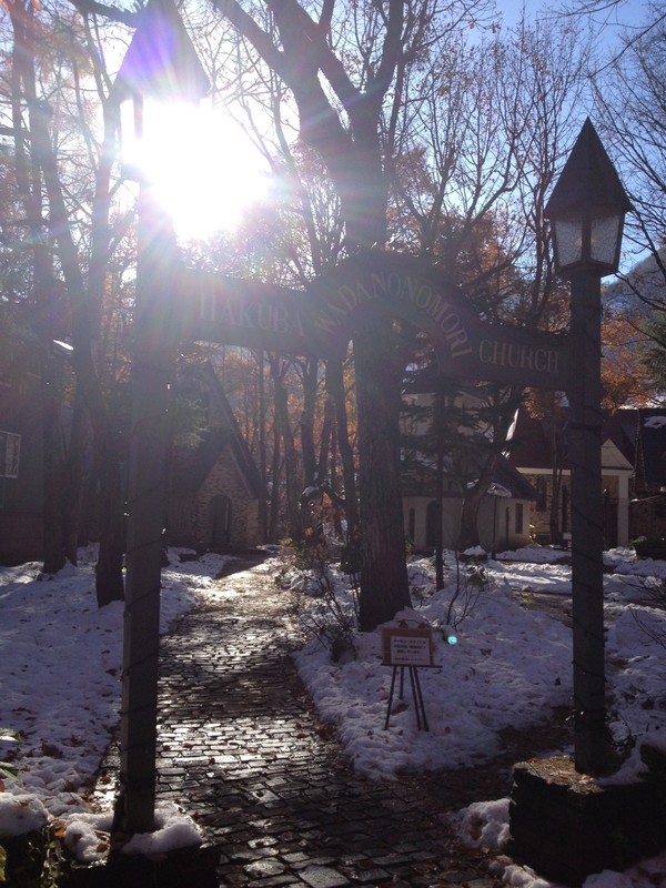 雪が降りました!_b0147051_1529367.jpg