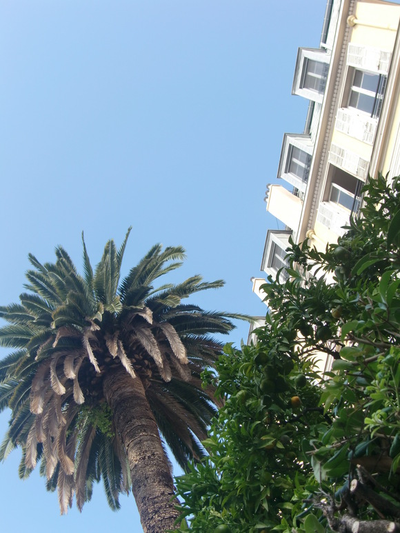 a0153355_1045588.jpg