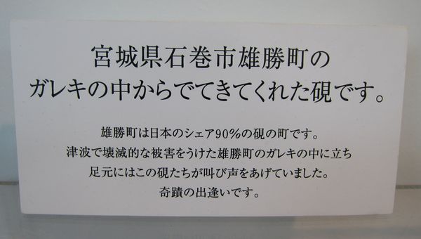 行ってきました『矢野きよ実の書　ｖｏｌ ８ 』_a0081957_10554361.jpg