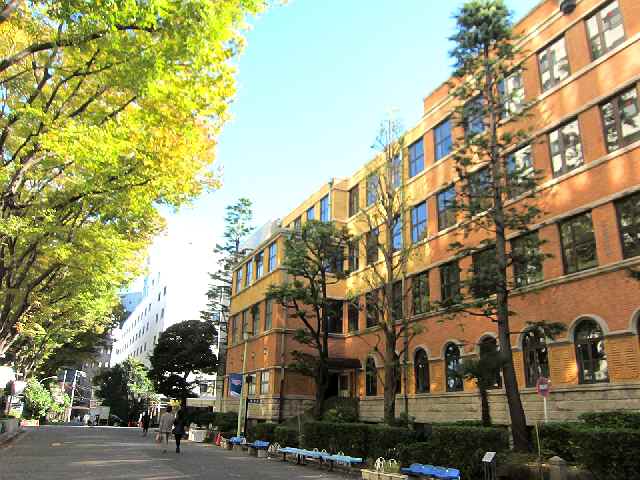 晩秋の上智大学四谷キャンパス散策 お散歩アルバム 如月日記