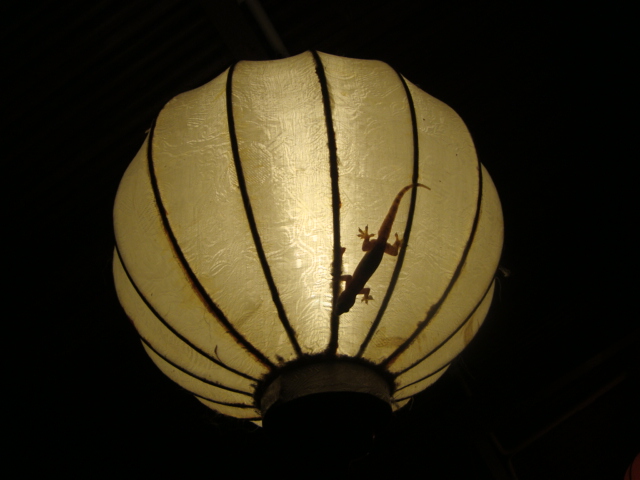 ベトナムへ行く。③ ~ヴィクトリアホイアンホテル~_f0232060_0483693.jpg