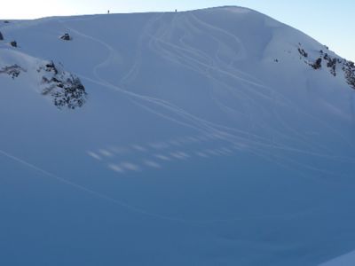 d0110562_213106.jpg