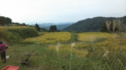 c0255263_031895.jpg