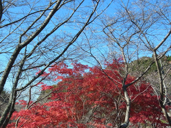 b0194267_1913448.jpg