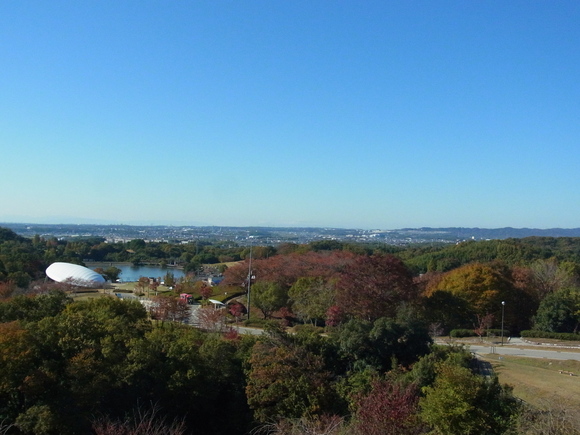 b0194267_19493429.jpg