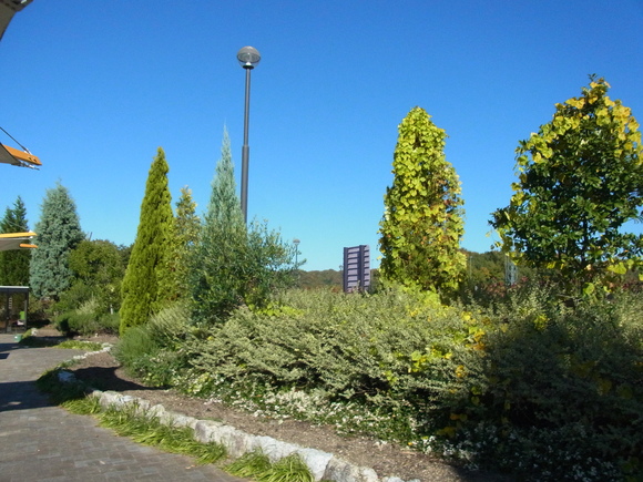 b0194267_19533471.jpg