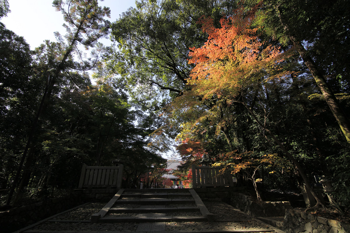 紅葉　2012  光明寺_f0021869_0571964.jpg