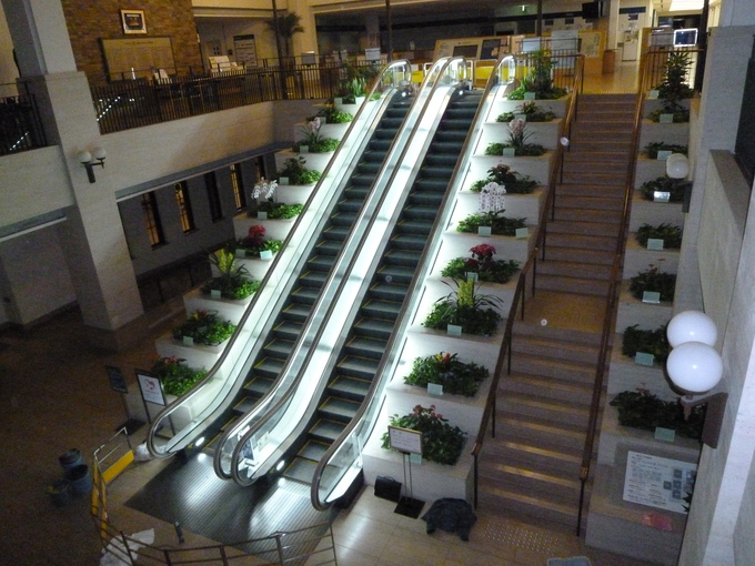 f0200477_7678.jpg